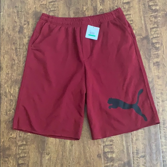puma hero shorts